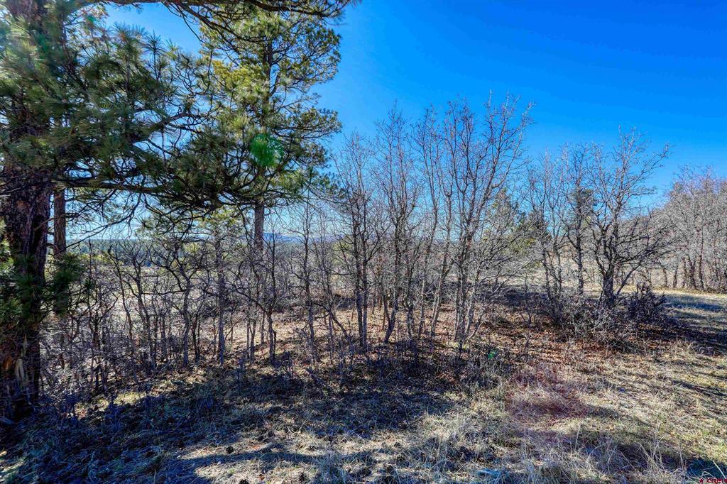 80 Poplar Court Pagosa Springs CO 81147