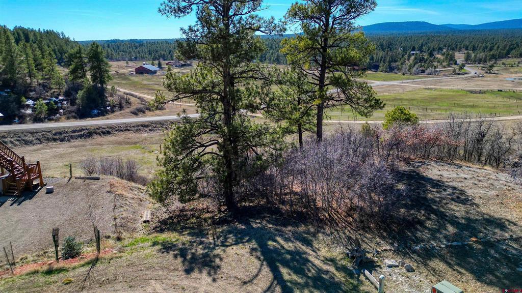 80 Poplar Court Pagosa Springs CO 81147