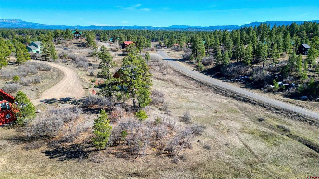 80 Poplar Court Pagosa Springs CO 81147