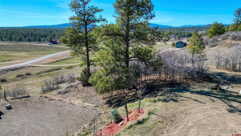 80 Poplar Court Pagosa Springs CO 81147