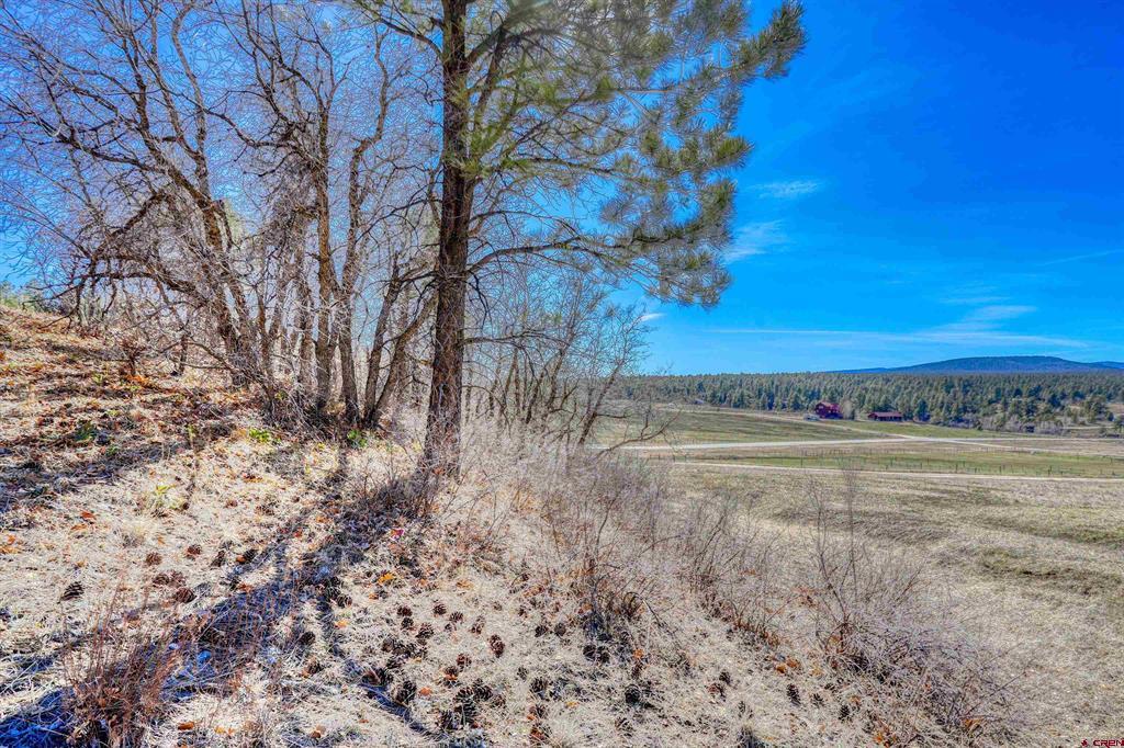 80 Poplar Court Pagosa Springs CO 81147