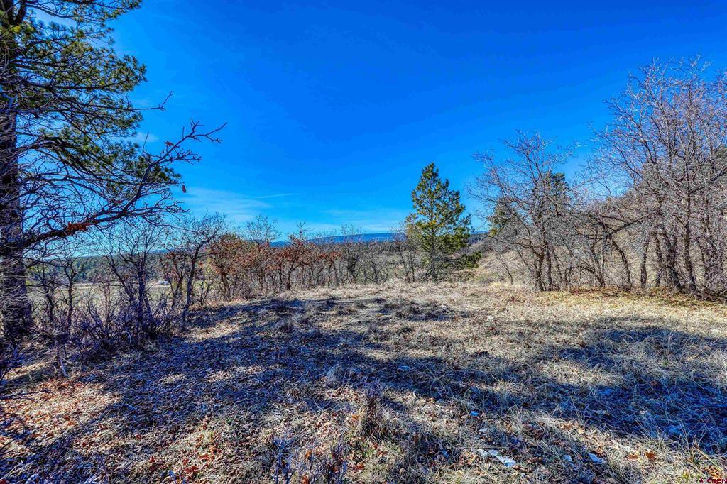 80 Poplar Court Pagosa Springs CO 81147