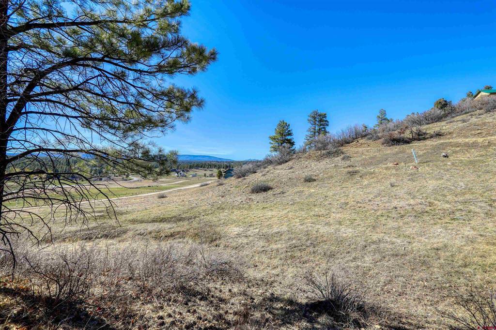80 Poplar Court Pagosa Springs CO 81147