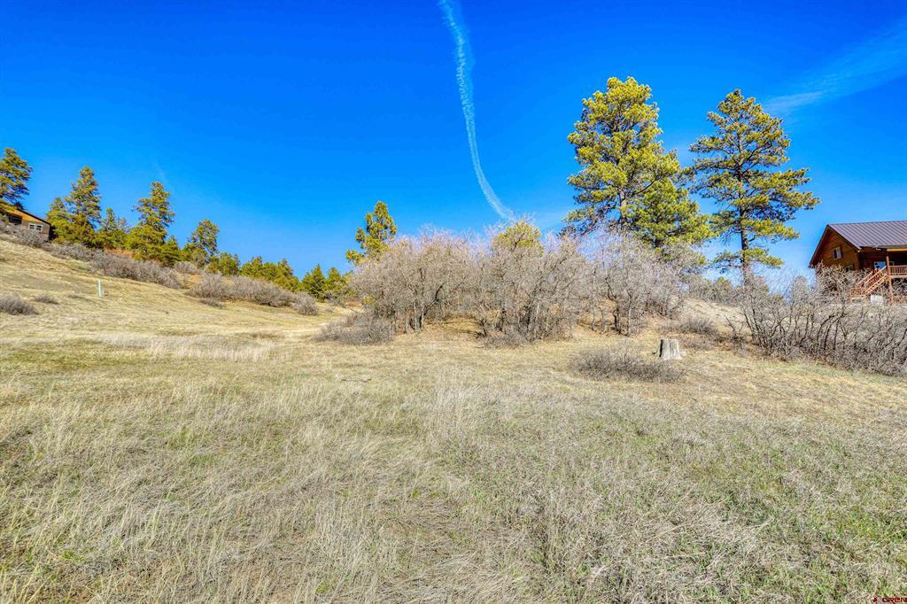 80 Poplar Court Pagosa Springs CO 81147