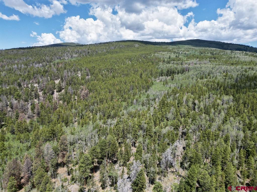 404 Forest Service Road 680.2a Gunnison CO 81230