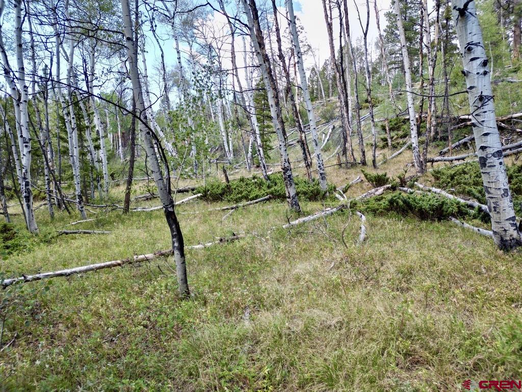 404 Forest Service Road 680.2a Gunnison CO 81230