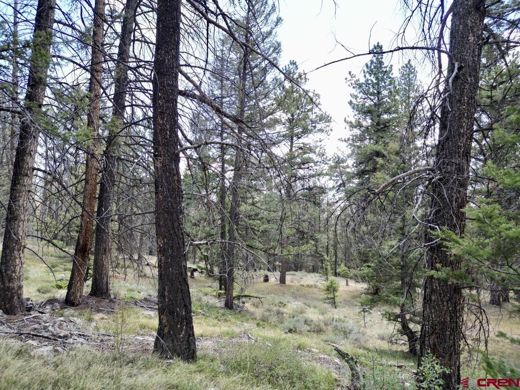 404 Forest Service Road 680.2a Gunnison CO 81230