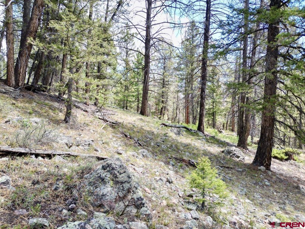 404 Forest Service Road 680.2a Gunnison CO 81230