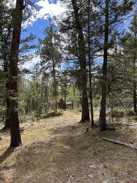 404 Forest Service Road 680.2a Gunnison CO 81230