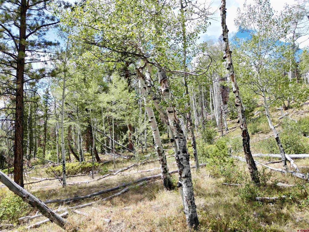 404 Forest Service Road 680.2a Gunnison CO 81230