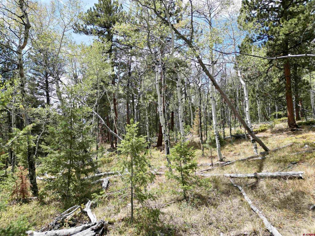 404 Forest Service Road 680.2a Gunnison CO 81230