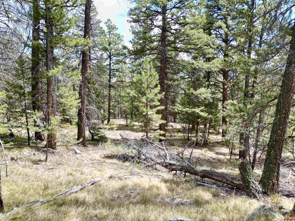 404 Forest Service Road 680.2a Gunnison CO 81230