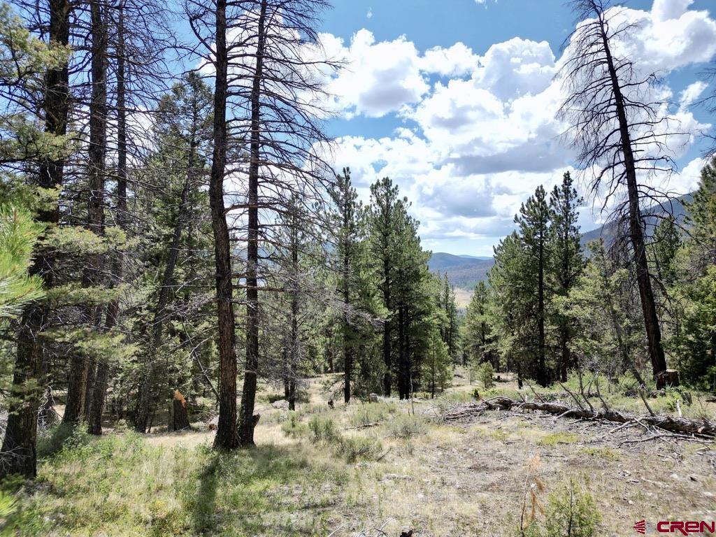 404 Forest Service Road 680.2a Gunnison CO 81230