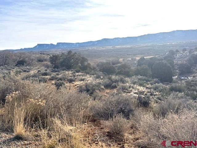 Tract D Tbd Jennings Cortez CO 81321