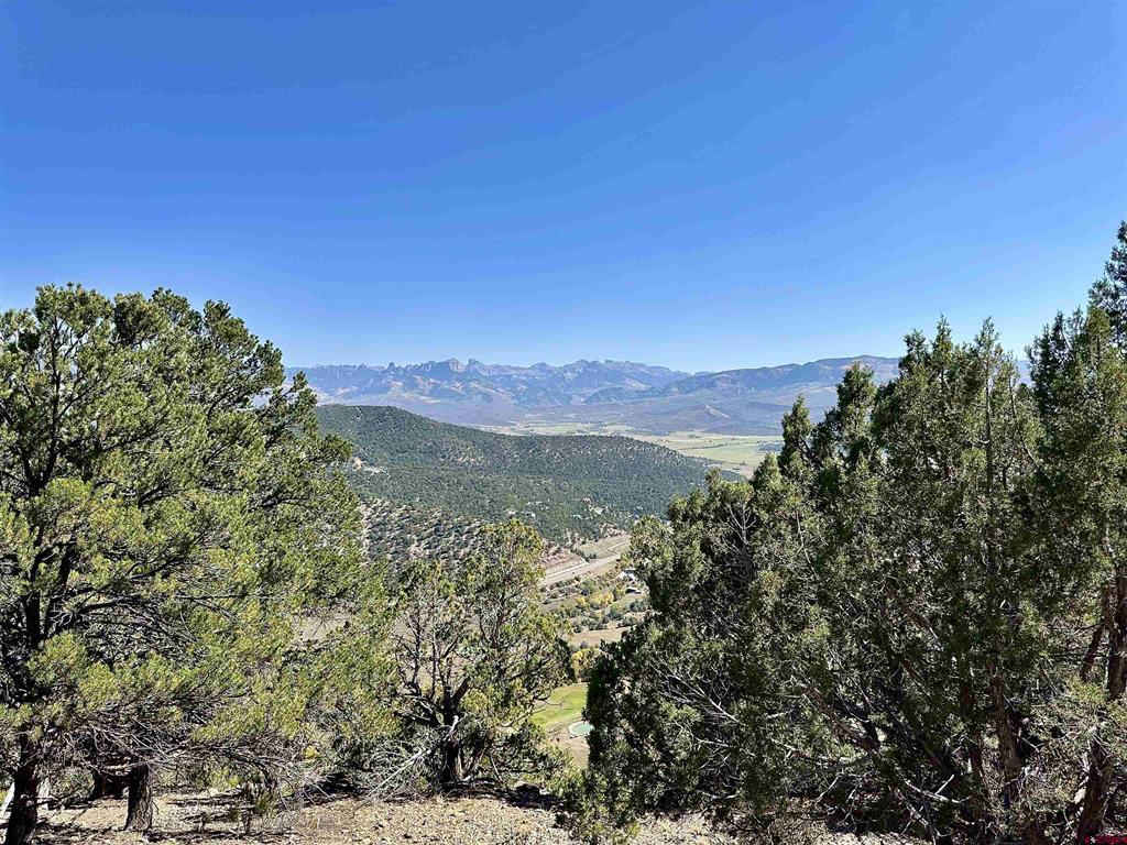 198 San Sophia Lane Ridgway CO 81432