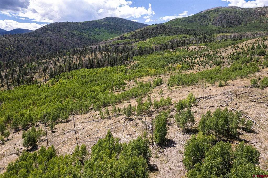 655 Elk Court South Fork CO 81154