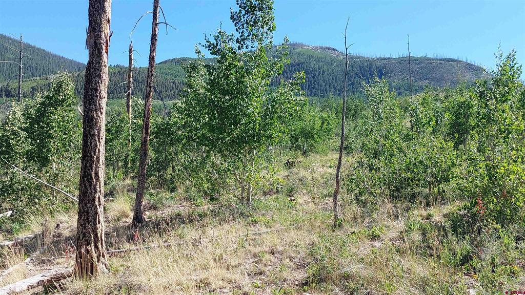 655 Elk Court South Fork CO 81154