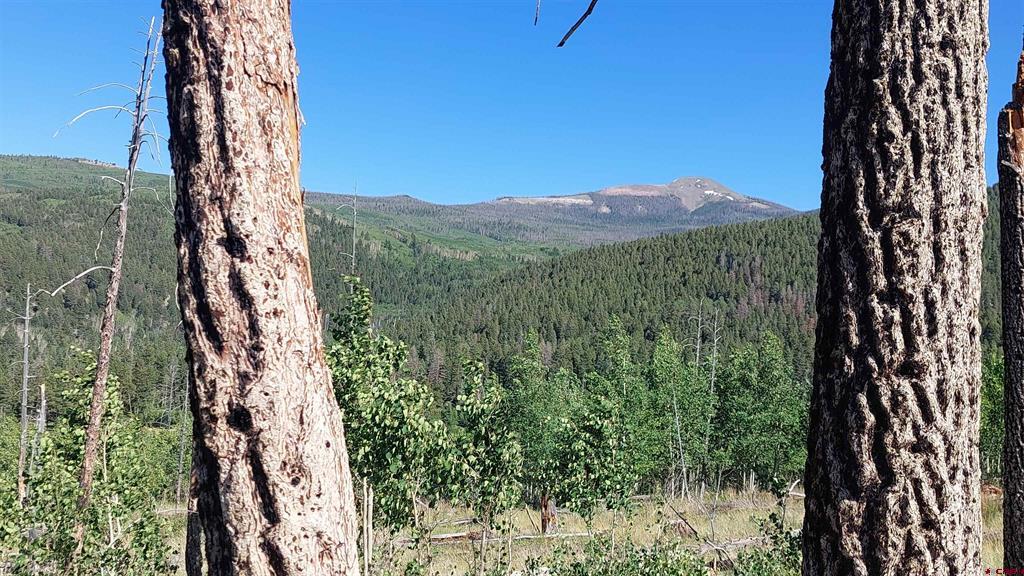 655 Elk Court South Fork CO 81154
