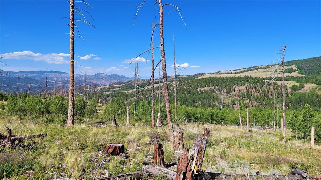 655 Elk Court South Fork CO 81154