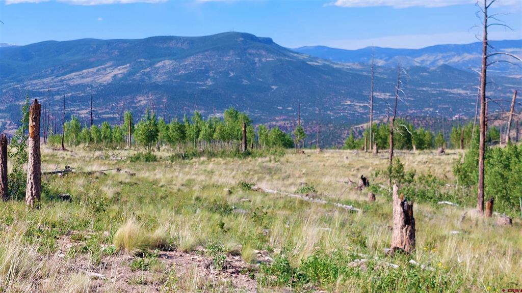 655 Elk Court South Fork CO 81154
