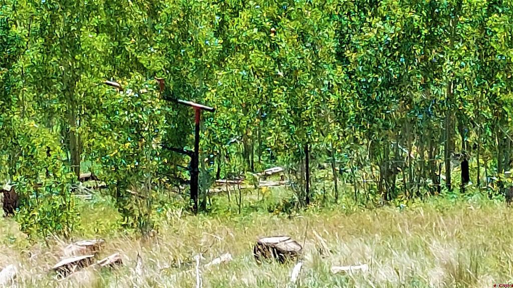655 Elk Court South Fork CO 81154