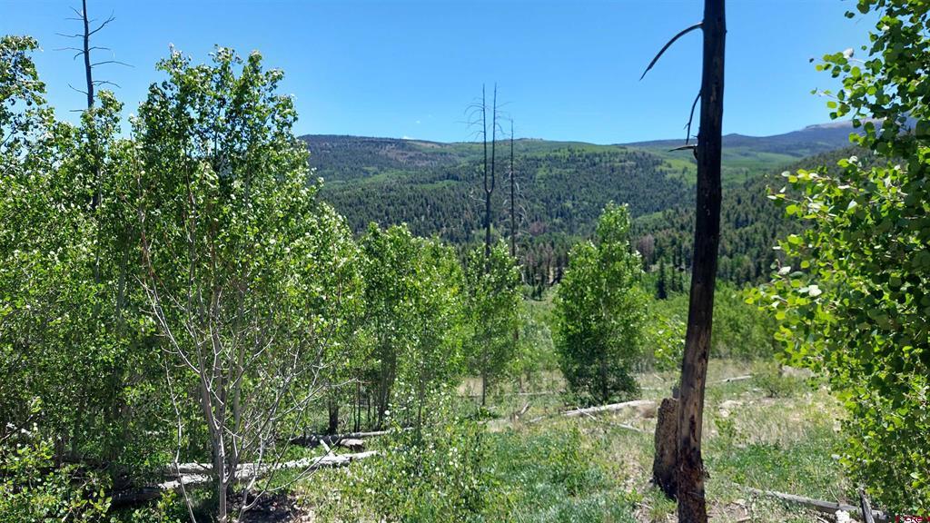 655 Elk Court South Fork CO 81154