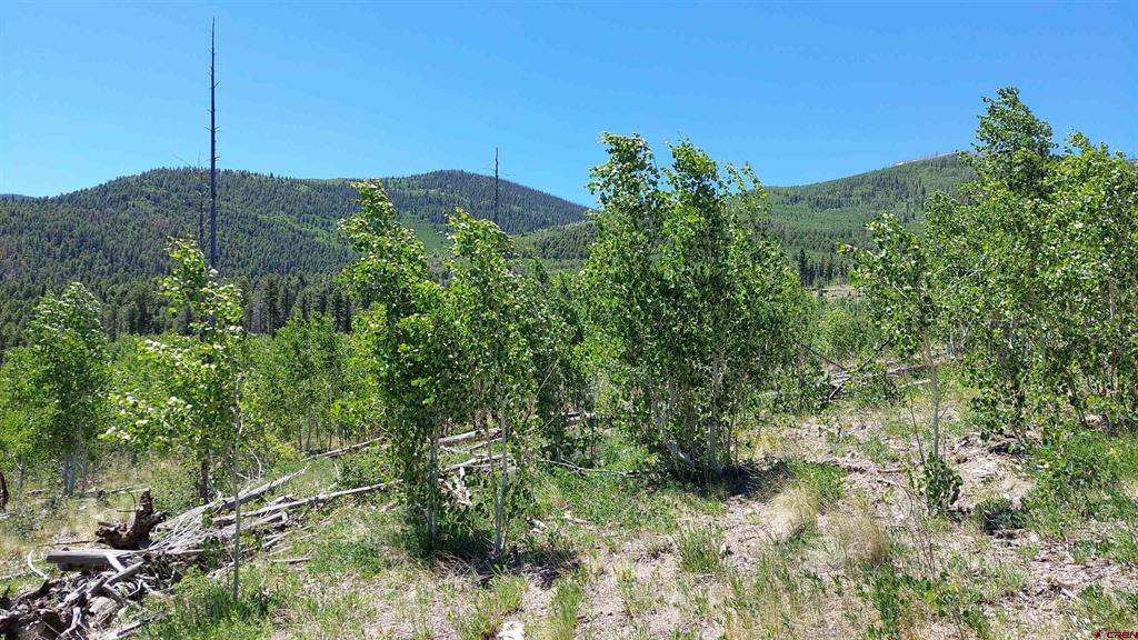 655 Elk Court South Fork CO 81154