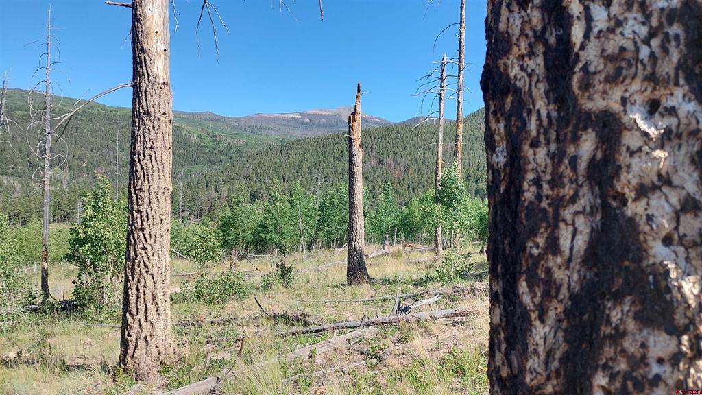 655 Elk Court South Fork CO 81154