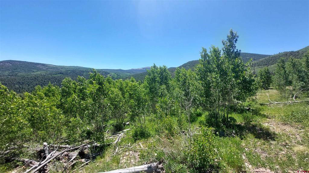 655 Elk Court South Fork CO 81154