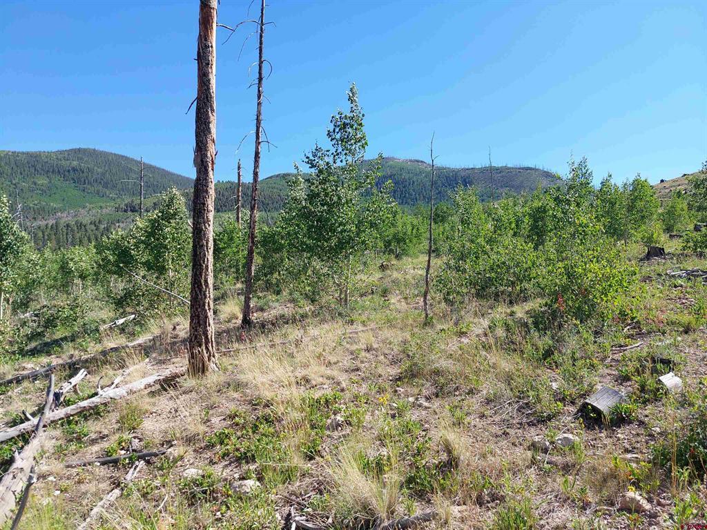 655 Elk Court South Fork CO 81154