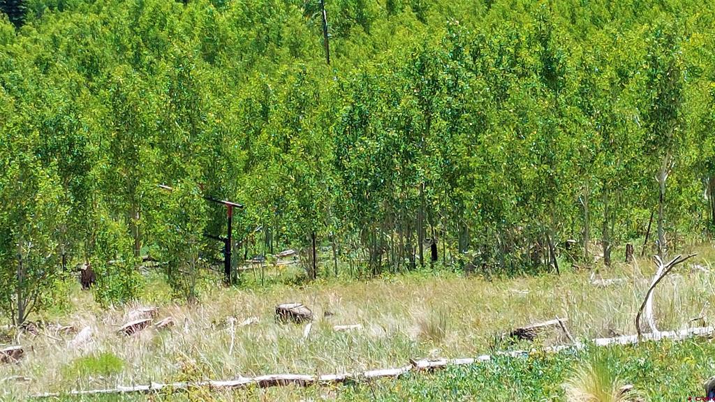 655 Elk Court South Fork CO 81154