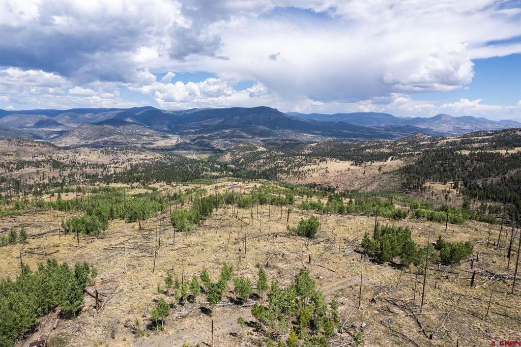 655 Elk Court South Fork CO 81154