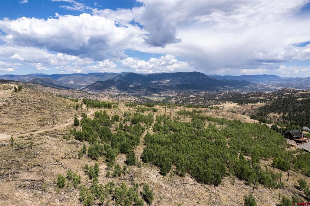 655 Elk Court South Fork CO 81154