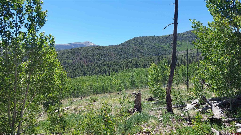 655 Elk Court South Fork CO 81154