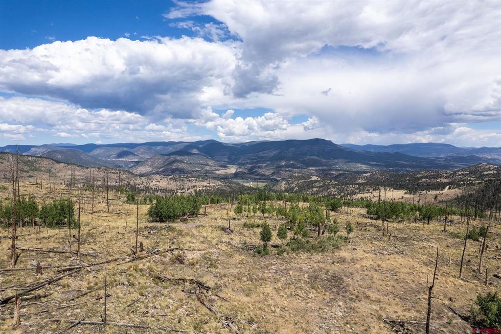 655 Elk Court South Fork CO 81154