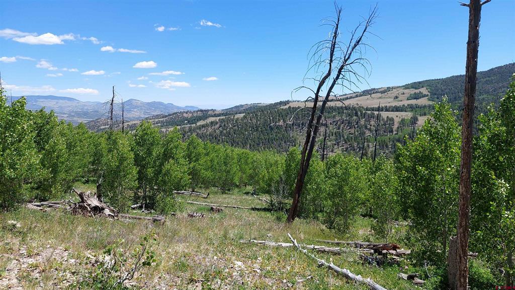 655 Elk Court South Fork CO 81154