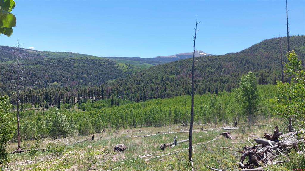 655 Elk Court South Fork CO 81154