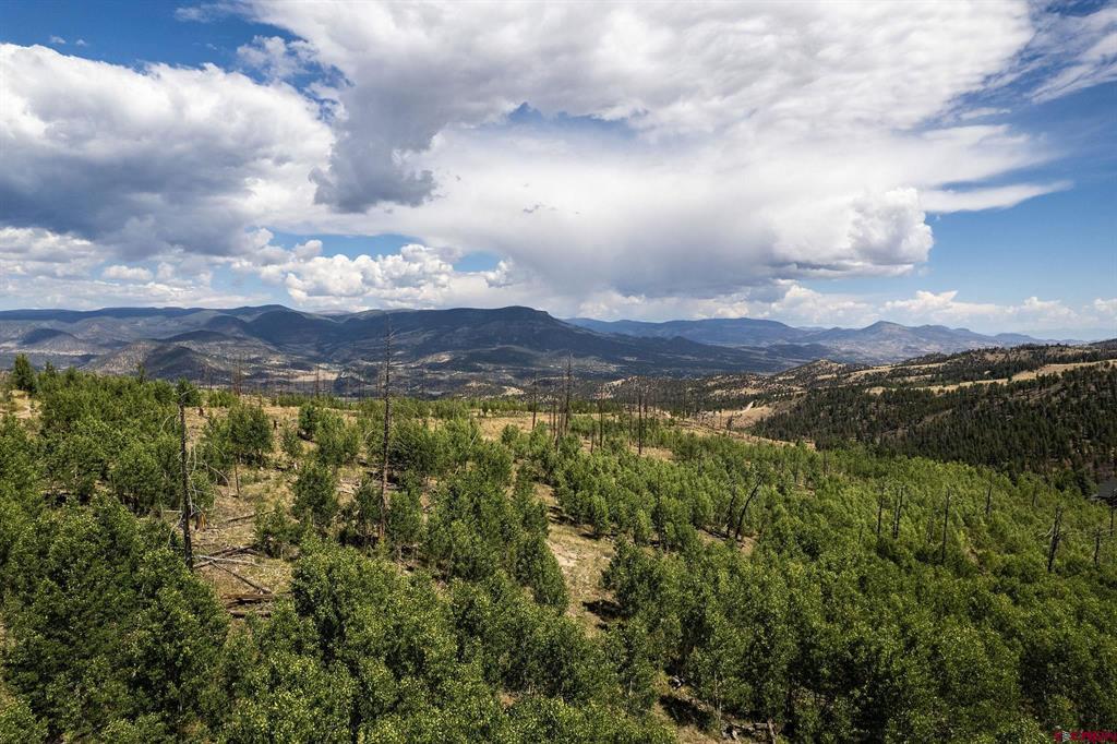 655 Elk Court South Fork CO 81154