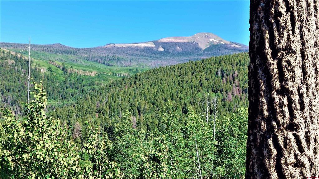 655 Elk Court South Fork CO 81154