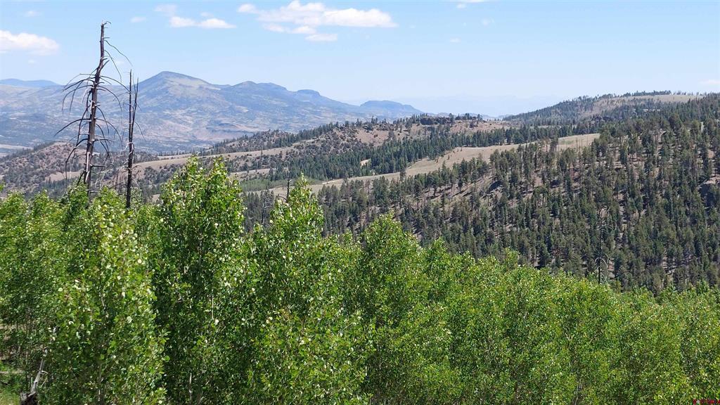 655 Elk Court South Fork CO 81154