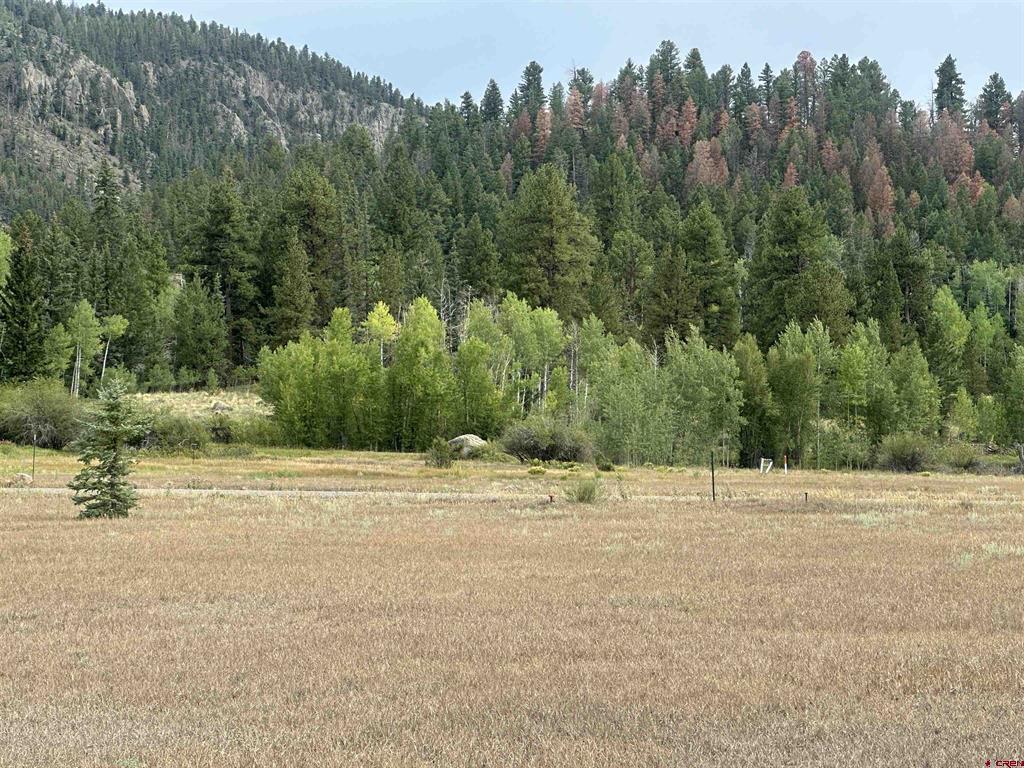 43 Million Lane South Fork CO 81154