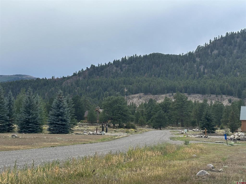 43 Million Lane South Fork CO 81154