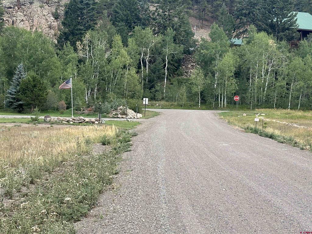 43 Million Lane South Fork CO 81154