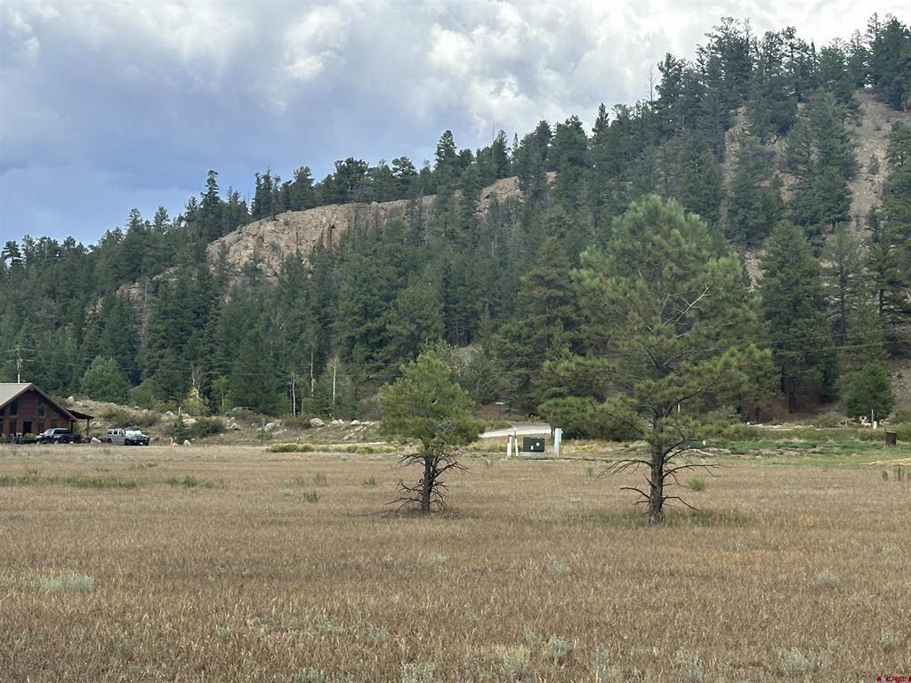 43 Million Lane South Fork CO 81154
