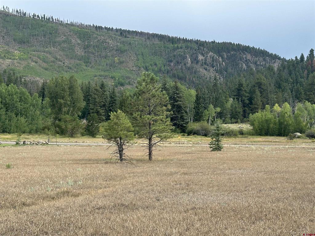 43 Million Lane South Fork CO 81154