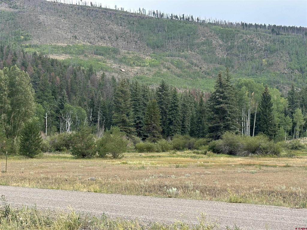 43 Million Lane South Fork CO 81154