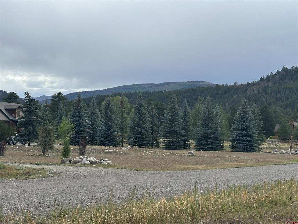 43 Million Lane South Fork CO 81154