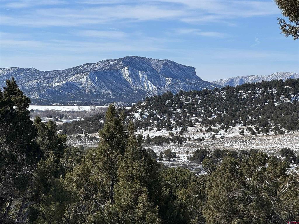 Tbd Road 41.4 Mancos CO 81328