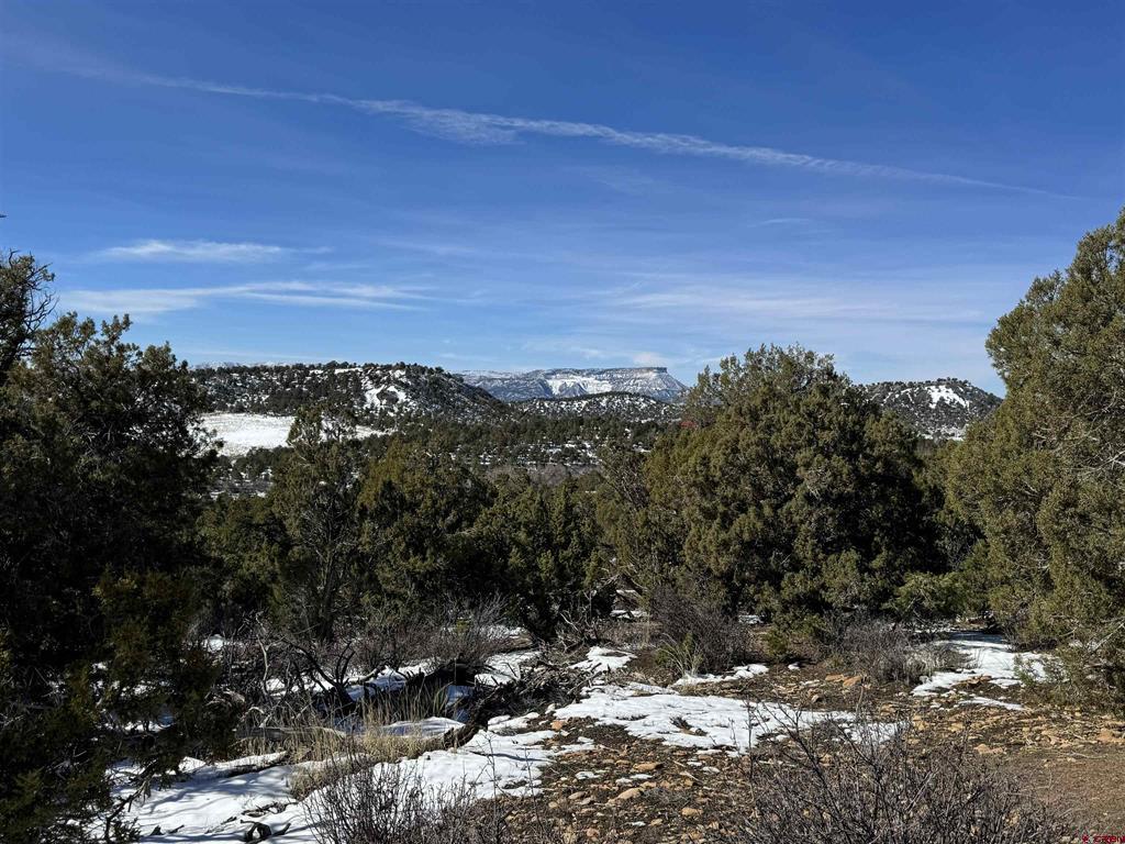 Tbd Road 41.4 Mancos CO 81328