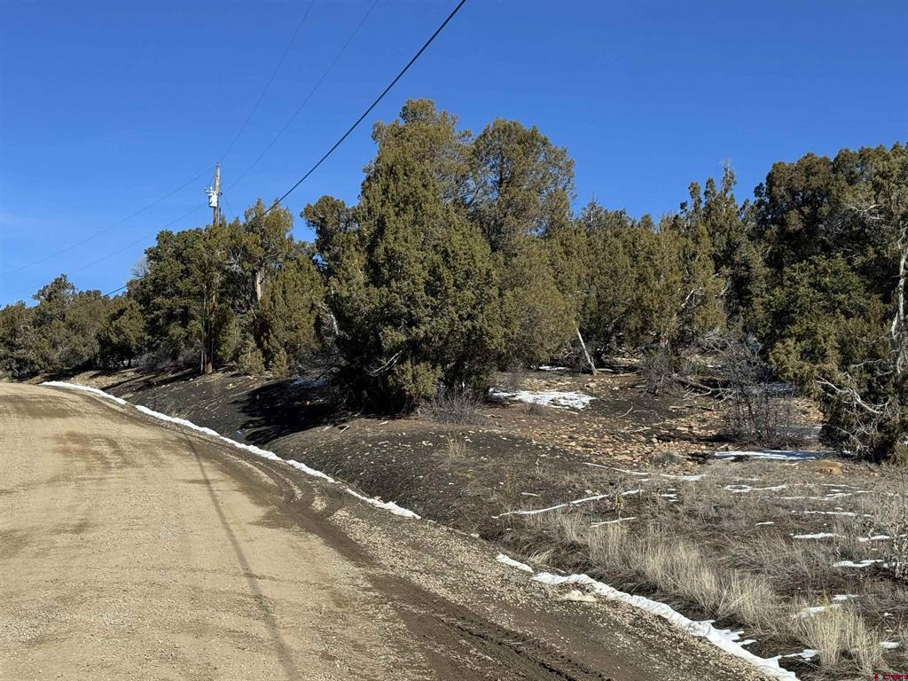 Tbd Road 41.4 Mancos CO 81328